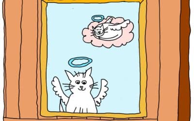 Ik heb een kattenluikje in de achterdeur maar de kat leeft niet meer.
