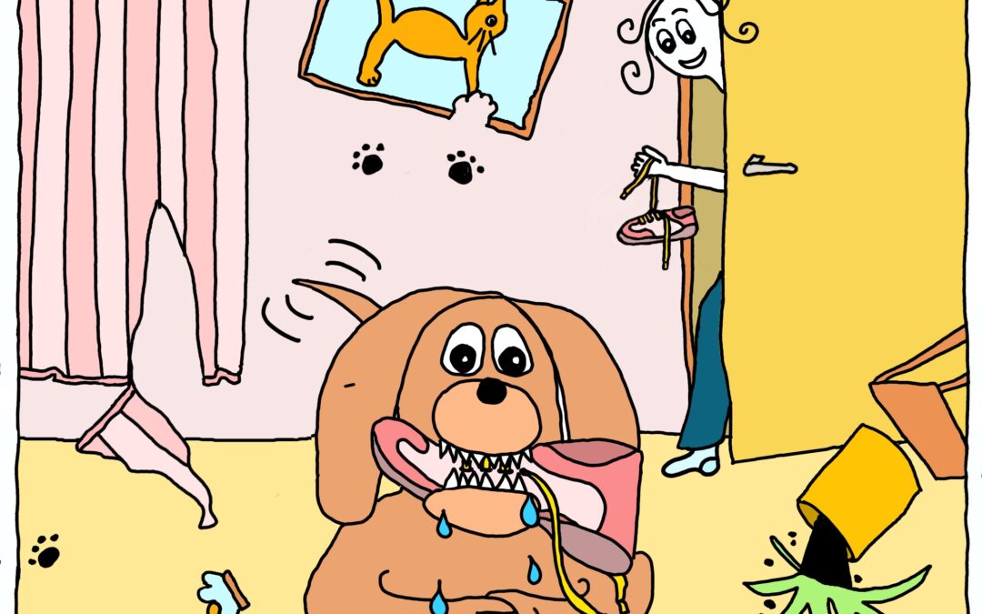 Ik kocht een hondenpup en nu heb ik spijt.