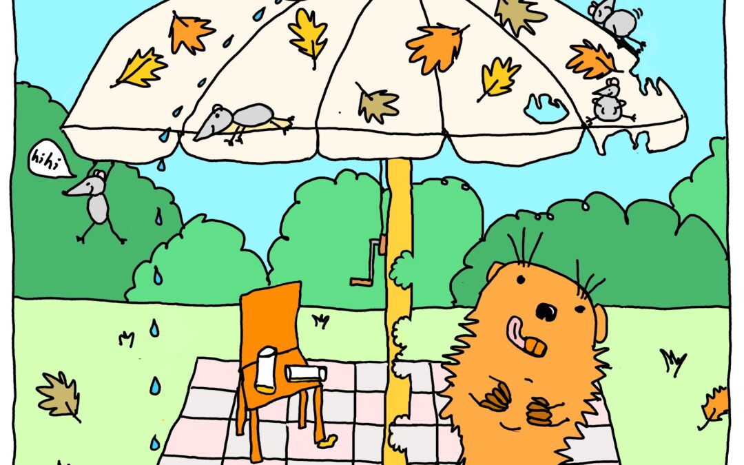 Hoe gaan de meeste parasols kapot?
